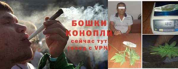 ГАЛЛЮЦИНОГЕННЫЕ ГРИБЫ Аркадак