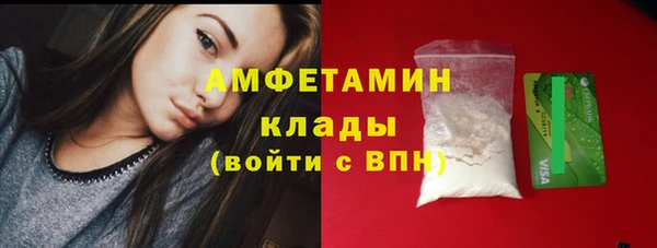 ГАЛЛЮЦИНОГЕННЫЕ ГРИБЫ Аркадак