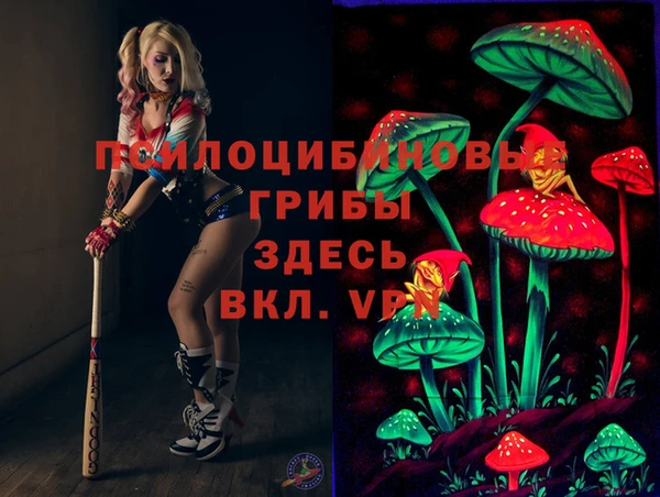 гашик Армянск