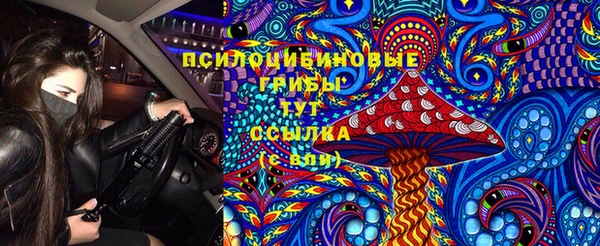 ГАЛЛЮЦИНОГЕННЫЕ ГРИБЫ Аркадак