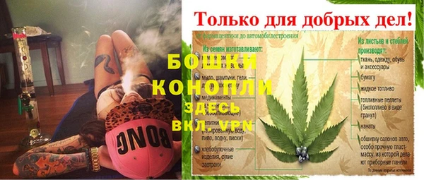 ГАЛЛЮЦИНОГЕННЫЕ ГРИБЫ Аркадак