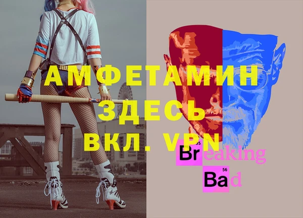 ГАЛЛЮЦИНОГЕННЫЕ ГРИБЫ Аркадак
